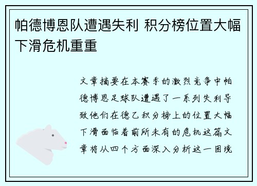 帕德博恩队遭遇失利 积分榜位置大幅下滑危机重重