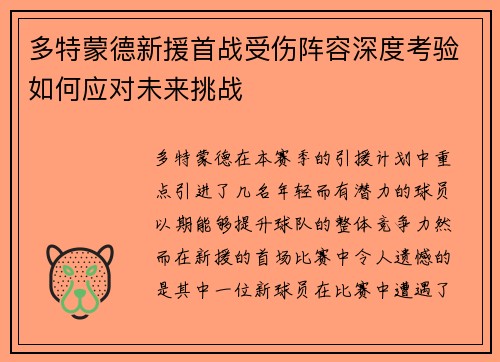 多特蒙德新援首战受伤阵容深度考验如何应对未来挑战