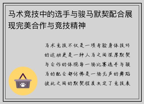 马术竞技中的选手与骏马默契配合展现完美合作与竞技精神